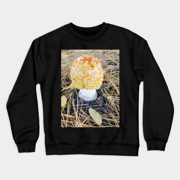 Grocery Store Amanita Crewneck Sweatshirt by etherealwonders